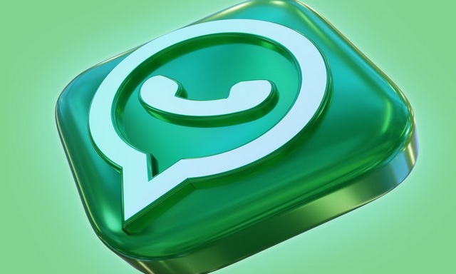 Comment signaler des messages WhatsApp individuels (Guide complet)