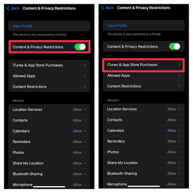 Contenu et paramètres de confidentialité dans Screen Time iOS