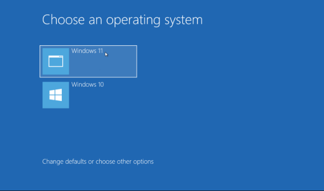 Essayez Windows 11 Dual Boot 12 1