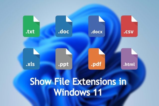 Comment afficher les extensions de fichiers dans Windows 11
