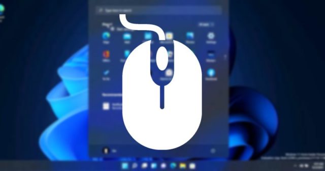 Comment configurer la souris pour les utilisateurs gauchers dans Windows 11