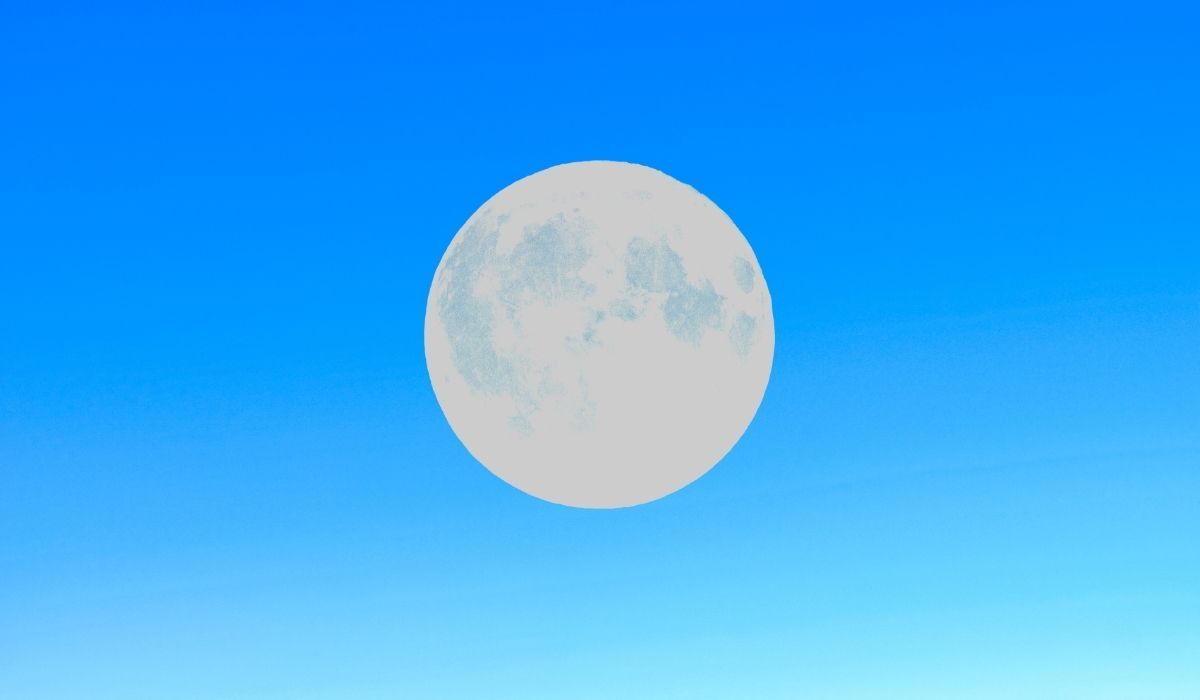 Le logo du navigateur Pale Moon sur fond bleu