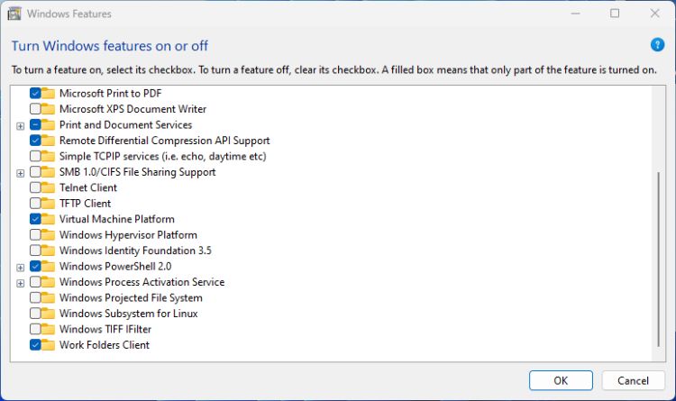 le menu Fonctionnalités facultatives dans Windows 11