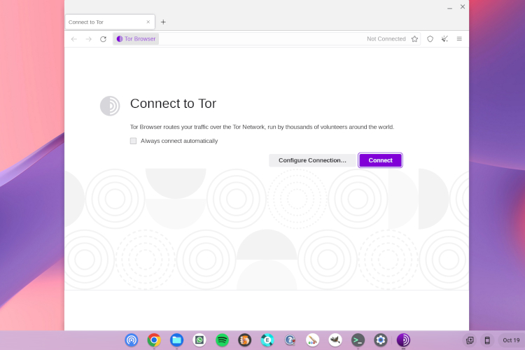 Comment installer le navigateur Tor sur votre Chromebook [2 Ways]
