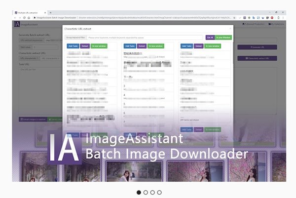 Image Assistant